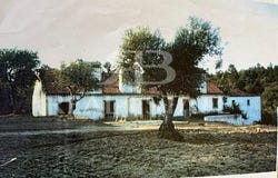 Montargil, Portalegre 7425