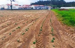 Vila do Conde, Porto 4485-020