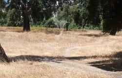 Baixa da Banheira e Vale da Amoreira, Moita, Setubal 2835