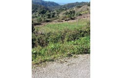 Leiria, Leiria District