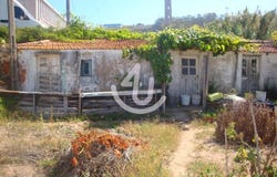 Nazaré, Leiria 2450