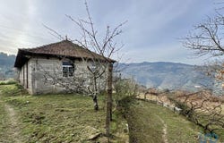 Oliveira Do Douro, Viseu 4690
