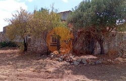 Tavira, Faro 8800-000