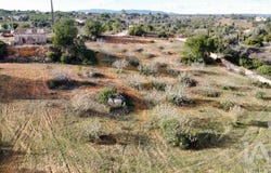 Faro, Algarve