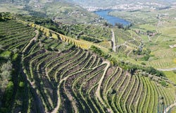 Viseu, Viseu District