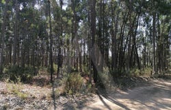Águeda, Aveiro District