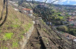 Câmara De Lobos, Madeira 9300