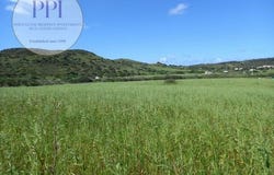 Vila do Bispo, Faro 8650-000