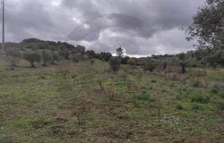 Pedrógão, Santarém District