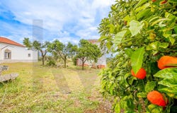 Fronteira, Portalegre 7460