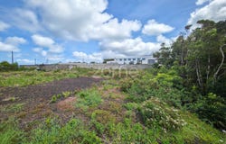Madalena, Azores