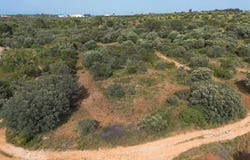 Zibreira, Santarém District