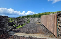 Madalena, Azores
