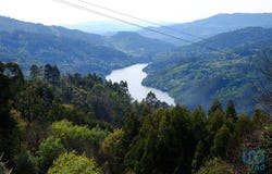 Braga, Braga