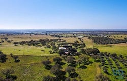 Montemor-o-Novo, Évora 7050-556