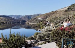 Peso da Régua, Vila Real 5050-011