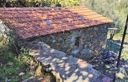 Pedrógão Grande, Leiria 3270