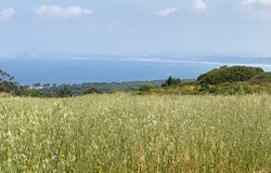 Sesimbra (Castelo), Setúbal 2970