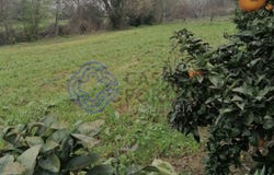 ERMESINDE, Porto District