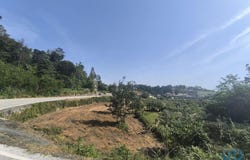Viseu, Viseu District