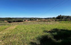 Calvaria de Cima, Leiria District