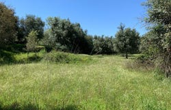 Ourique, Beja District 7670