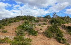 Conceio e Estoi, Faro, Algarve 8005