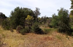 São Clemente, Algarve