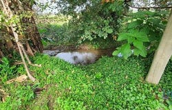 Estarreja, Aveiro 3860-044