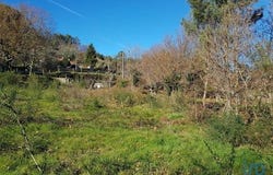 Vila Nova de Cerveira, Viana do Castelo 4920-020