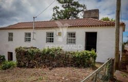 Rosais, Velas, Azores 9800