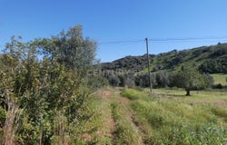 Odiáxere, Algarve