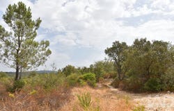 Santarém, Santarém District