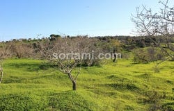 Lagoa (algarve), Faro