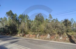 Fátima, Santarém District