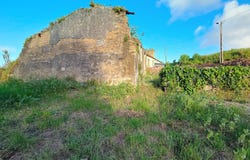 Figueira da Foz, Coimbra District