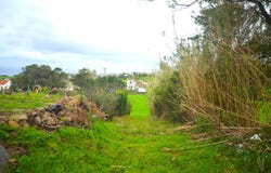 Ilha de São Miguel, Azores
