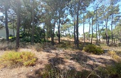 Carvalhal, Setúbal 7570-779