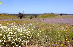 Castro Marim, Algarve 8950-021