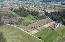 Anadia, Aveiro District