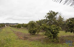 Chamusca, Santarém 2140-664