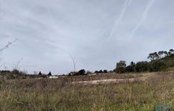 Tomar, Santarém 2300-397