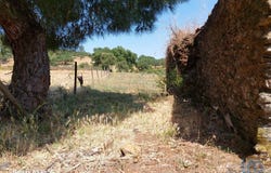 Portalegre, Portalegre District