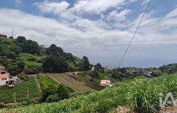Ilha da Madeira, Madeira