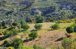Murça, Vila Real District