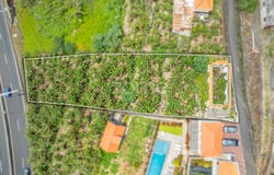 Santa Cruz, Madeira
