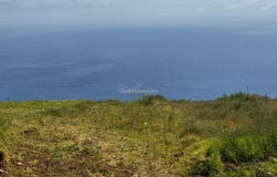 Fajã Da Ovelha, Madeira 9370
