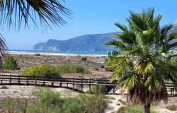 Carvalhal, Setubal