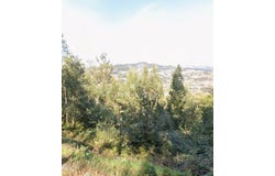 Oliveira do Douro, Cinfães, Viseu District