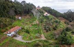 Santo António da Serra, Santa Cruz, Madeira 9100-255